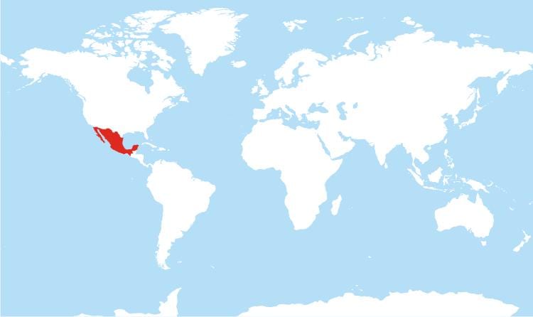 map of Mexico গ্লোবাল