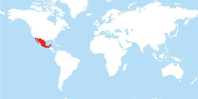 অবস্থান মেক্সিকো এর মধ্যে বিশ্বের মানচিত্র