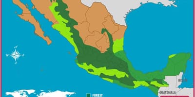 Map of Mexico বন